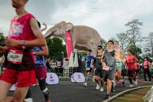 BIB: 
                            <button type="button" onclick="openModal(26528296)" class="btn btn-primary btn-sm float-right btn-popup" data-toggle="modal" data-target=".modal-high-quality">
                        <i class="fas fa-shopping-cart"></i> Add to Cart
                    </button>
                                            <button type="button" onclick="isThisMe(26528296, true)" class="btn btn-success btn-sm float-right btn-popup btn-isme hidden" data-toggle="tooltip" data-placement="bottom" title="นี่คือรูปของคุณใช่ไหม คลิกที่นี่เพื่อเอาเข้าอัลบั้ม">
                        <i class="fas fa-plus"></i> Add to album
                    </button>
                    <button type="button" onclick="isThisMe(26528296, false)" class="btn btn-warning btn-sm float-right btn-popup btn-isnotme hidden">
                        <i class="fas fa-ban"></i> Remove from album
                    </button>